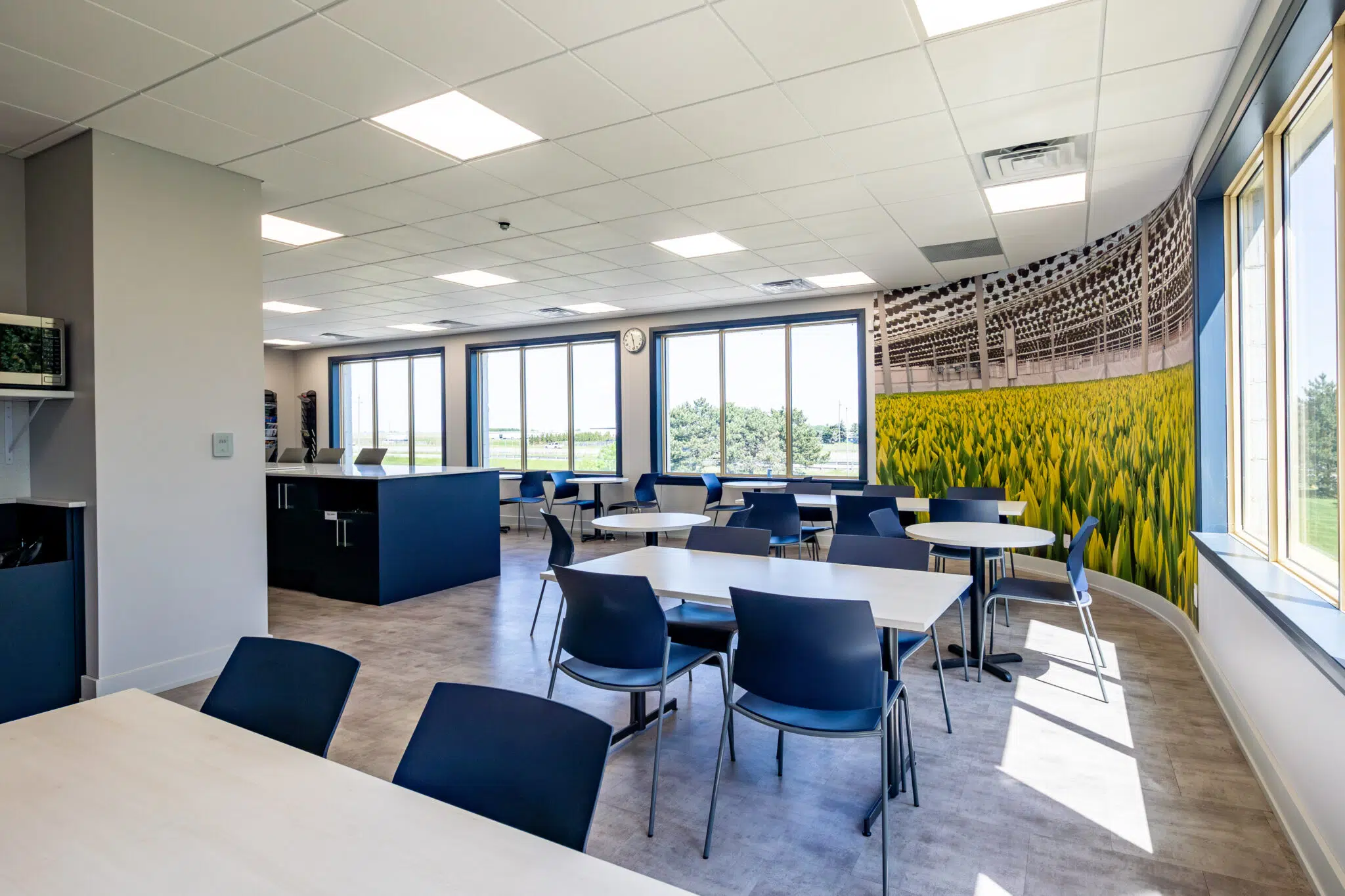 quarrystone-construction-gallery-12 quarrystone-construction-gallery-12